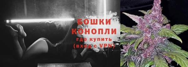сатива Заводоуковск