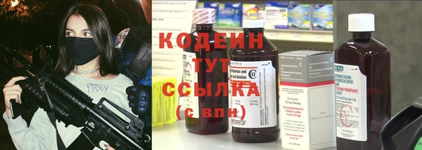 сатива Заводоуковск