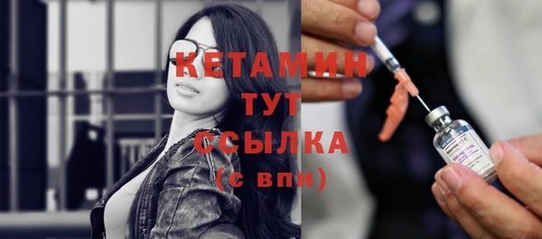 сатива Заводоуковск