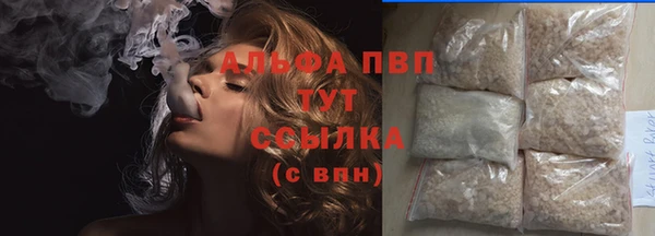 сатива Заводоуковск