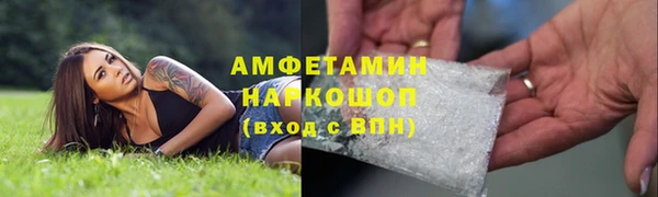 сатива Заводоуковск