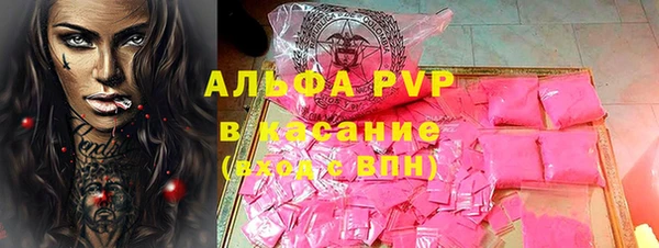 сатива Заводоуковск