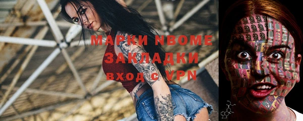 сатива Заводоуковск