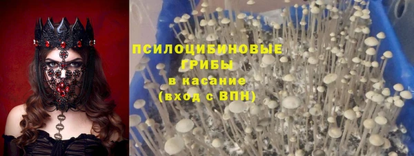 сатива Заводоуковск