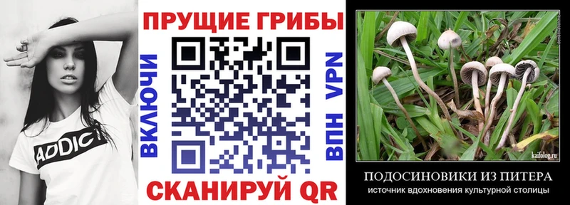 Псилоцибиновые грибы мицелий  Канск 
